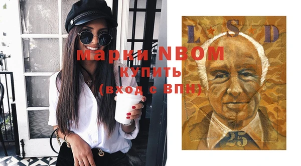 амф Пересвет