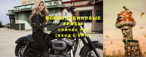 амф Пересвет