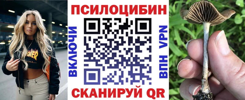 Купить  Батайск  Галлюциногенные грибы Cubensis 